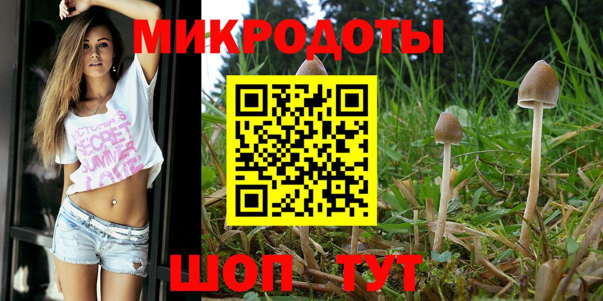 Балашиха  Псилоцибиновые грибы Psilocybine cubensis  Вход с VPN 