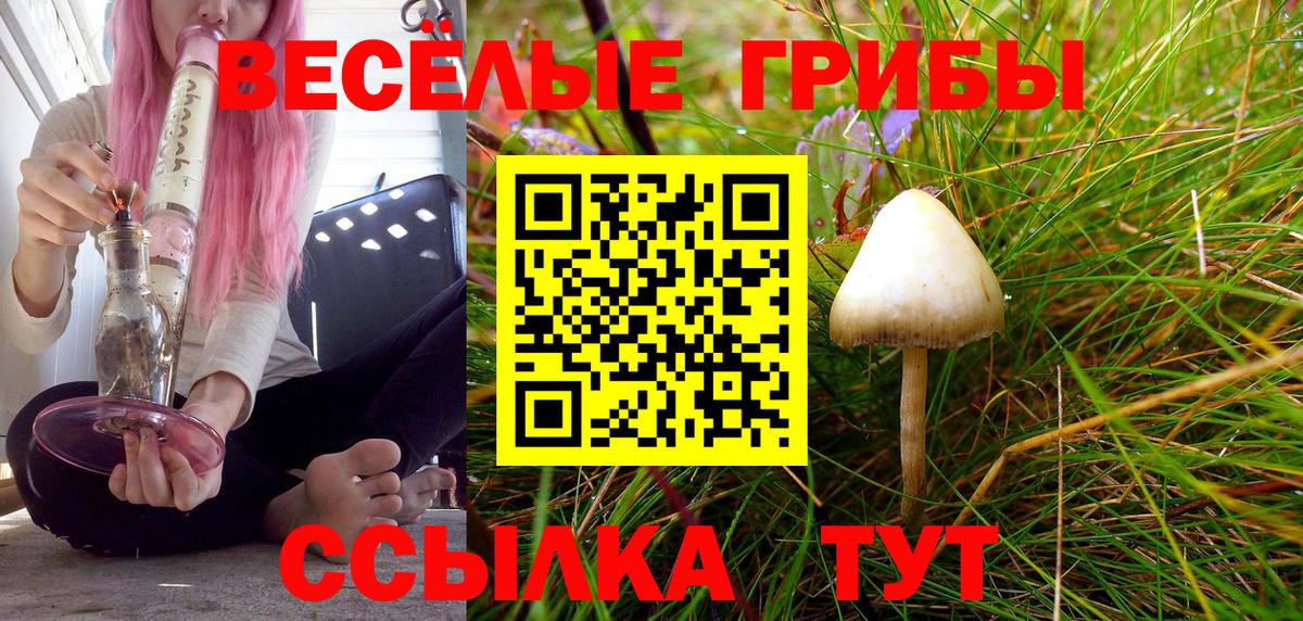 Псилоцибиновые грибы Psilocybine cubensis Балашиха